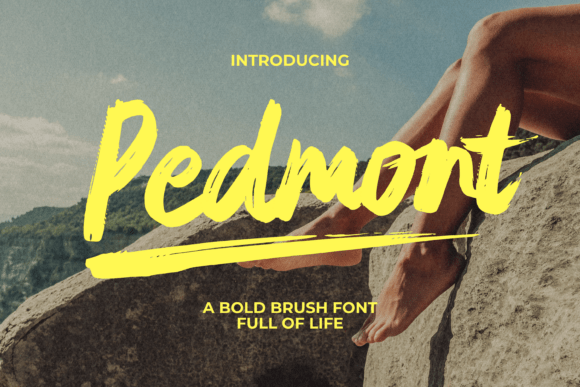 Pedmont: A Creative Font Review for Small Business Branding
