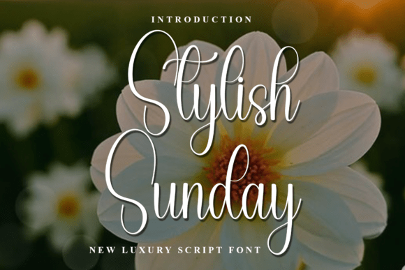 Stylish Sunday: A Relaxed Typeface for Editorial Warmth