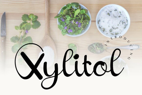 Xylitol: A Modern Script Font for Premium Web Design